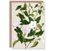 Artery8 Sarah Featon Personalised Art Card New Zealand Bindweed Wildflowers