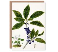 Artery8 Sarah Featon Personalised Art Card New Zealand Mahoe Whiteywood Plant