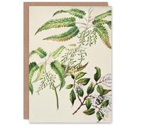 Artery8 Sarah Featon Personalised Art Card New Zealand Ongaonga Tree Nettle Plant