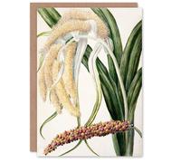 Artery8 Sarah Featon Personalised Art Card New Zealand Perching Lily Flower Plant