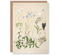 Artery8 Sarah Featon Personalised Art Card New Zealand Perennial Wild Flowers