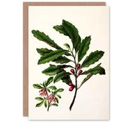 Artery8 Sarah Featon Personalised Art Card New Zealand Toropapa Flowering Plant
