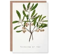 Artery8 Sarah Featon Thinking Of You Card New Zealand Hopbush Plant Floral
