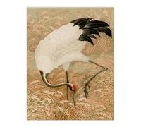 Artery8 Sarus Crane Foraging in Rice Field XL Wall Art Poster Print 24X32 Artwork By G A Audsley : Bird Landscape Artwork Suited For Hallway Or Study Showing Natural Calm And Japanese Design