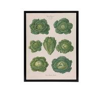 Artery8 Savoy Cabbages Vintage Kitchen Ernst Benary Framed Canvas Wall Art in White | Size: W12" x H16" Artery8 White W12" x H16"