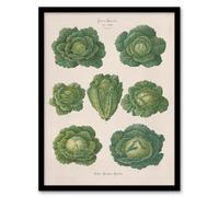 Artery8 Savoy Cabbages Vintage Kitchen Ernst Benary Framed Wall Art Print 12X16"