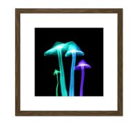 Artery8 Schwartz NJIT Transparent Mushrooms False Colour X-Ray Photo 8X8 Inch Square Wooden Framed Wall Art Print Picture with Mount in Brown Artery8 Brown