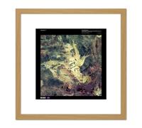 Artery8 Science Map Satellite Sandy Desert Wild Fire Scar Replica 8X8 Inch Square Wooden Framed Wall Art Print Picture with Mount in Light Oak Artery8 Light Oak