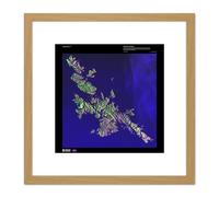 Artery8 Science Map Satellite Shetland Islands Scotland UK Replica 8X8 Inch Square Wooden Framed Wall Art Print Picture with Mount in Light Oak Artery8 Light Oak