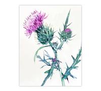 Artery8 Scottish Thistle Flower Bloom Floral Watercolour Living Room Large Wall Art Poster Print Thick Paper 18X24 Inch