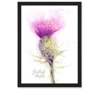 Wee Blue Coo Scottish Thistle Flower Head Watercolour Scotland A4 Artwork Framed Wall Art Print