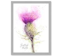 Artery8 Scottish Thistle Flower Head Watercolour Scotland A4 Artwork Framed Wall Art Print in Light Grey Artery8 Light Grey