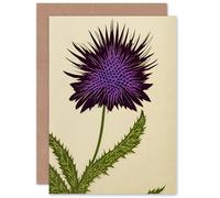 Artery8 Scottish Thistle for Him or Her Man Woman Birthday Thank You Congratulations Blank Art Greeting Card
