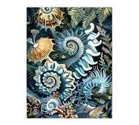 Artery8 Sea Ocean Life Coral Reef Forms Design Bathroom Extra Large XL Wall Art Poster Print