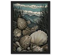 Artery8 Seashells by the Shore Modern Coastal Illustration Artwork Framed Wall Art Print A4