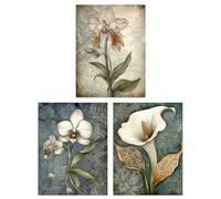 Artery8 Set of 3 A4 Elegant Single Calla Lily and Orchids Flowers Calming Art Deco Style Artwork Unframed Wall Art Living Room Poster Prints Pack