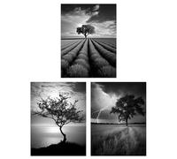 Artery8 Set of 3 A4 Lone Tree and Storm Clouds Black and White Photographs Atmospheric Coastal Landscape Unframed Wall Art Living Room Poster Prints Pack