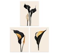 Artery8 Set of 3 Abstract Black Gold Calla Lily Flowers Living Room 12X16 Inch Wall Art Prints Pack
