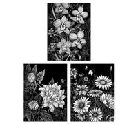 Artery8 Set of 3 Elegant Dahlia Daisy & Orchid Flowers Floral Black & White Striking Impact Artwork Unframed Wall Art Living Room Poster Prints Pack Artery8 Black A4