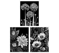 Artery8 Set of 3 Elegant Single Allium Anemone & Dahlia Flowers Floral Black White Striking Impact Artwork Unframed Wall Art Living Room Poster Artery8 Black A4