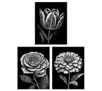 Artery8 Set of 3 Elegant Single Tulip Rose Zinnia Spring Flowers Black & White Floral Impact Artworks Unframed Wall Art Living Room Poster Prints Artery8 Black A4