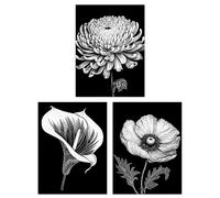 Artery8 Set of 3 Elegant Striking Poppy Chrysanthemum and Calla Lily Floral Artwork Black and White Impact Unframed Wall Art Living Room Poster Prints Pack