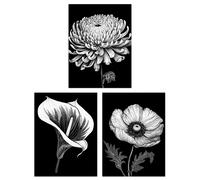 Artery8 Set of 3 A4 Elegant Striking Poppy Chrysanthemum and Calla Lily Floral Artwork Black and White Impact Unframed Wall Art Living Room Poster Prints Pack