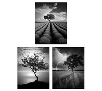 Artery8 Set of 3 Lone Tree and Storm Clouds Black and White Photographs Atmospheric Coastal Landscape Unframed Wall Art Living Room Poster Prints Pack