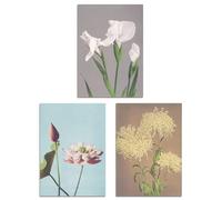 Artery8 Set of 3 Vintage Japanese Floral Botanical Flowers Wall Art Prints A3 Size Living Room Decor