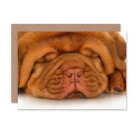 Artery8 Shar Pei Sleep Cute Dog Art Blank Just to Say Card Artery8 Multicolor