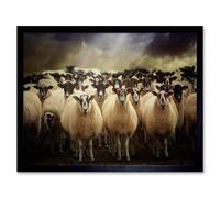 Artery8 Sheep Flock Farm Wool Home Decor 12x16" Framed Wall Art Print in Brown | Size: W12" x H16" Artery8 Brown W12" x H16"