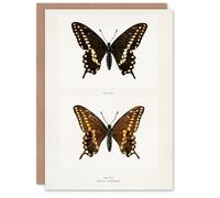 Artery8 Sherman Denton Art Card Black Swallowtail Butterfly