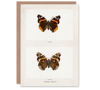 Artery8 Sherman Denton Art Card Red Admiral Butterfly Vintage Illustration in White Artery8 White