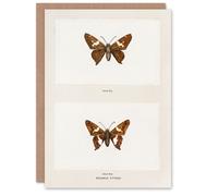 Artery8 Sherman Denton Art Card Silver Spotted Skipper Butterfly