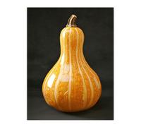 Artery8 Shiny Butternut Squash Pumpkin Photograph Wall Art Print in Orange | Size: W12" x H16" Artery8 Orange W12" x H16"