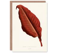 Artery8 Shirley Hibberd Art Card Canna Vintage Botany Red Leaf
