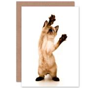 Artery8 Siamese Kitten Cat Playing Birthday Greetings Card in White Artery8 White