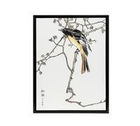 Artery8 Siberian Blue Tail Bird Japanese Framed Canvas Wall Art Print Kashu | Size: W12" x H16" Artery8 Multicolor W12" x H16"