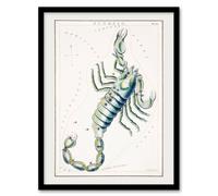 Artery8 Sidney Hall Astronomical Chart Illustration of Scorpio Framed Wall Art in White | Size: A4 Artery8 White A4