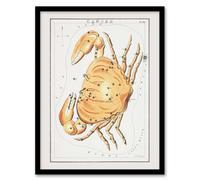 Artery8 Sidney Hall Vintage Cancer Constellation Illustration Framed Art Print in White | Size: A3 Artery8 White A3