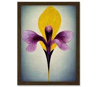Artery8 Simple Elegant Single Orchid Purple Yellow Artwork Framed Wall Art Print A4 in Brown Artery8 Brown