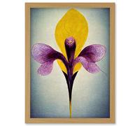 Artery8 Simple Elegant Single Orchid Purple Yellow Artwork Framed Wall Art Print A4 in Light Oak Artery8 Light Oak