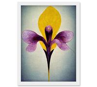 Artery8 Simple Elegant Single Orchid Purple Yellow Artwork Framed Wall Art Print A4 in White Artery8 White