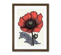 Artery8 Single Anemone Flower Tattoo Ink Body Art Rockabilly Americana 50s Artwork Framed Wall Art Print 18X24 Inch