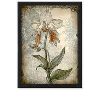 Artery8 Single Orchid Flower Pastel Colour Art Nouveau Artwork Framed A3 Wall Art Print