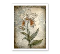 Artery8 Single Orchid Flower Pastel Colour Art Nouveau Artwork Framed Wall Art Print 18X24 Inch