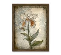 Artery8 Single Orchid Flower Pastel Colour Art Nouveau Artwork Framed Wall Art Print 18X24 Inch