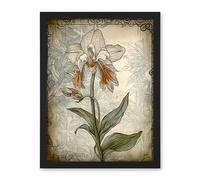 Artery8 Single Orchid Flower Pastel Colour Art Nouveau Artwork Framed Wall Art Print 18X24 Inch