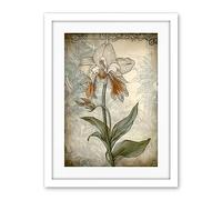 Artery8 Single Orchid Flower Pastel Colour Art Nouveau Artwork Framed Wall Art Print 18X24 Inch