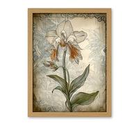 Artery8 Single Orchid Flower Pastel Colour Art Nouveau Artwork Framed Wall Art Print 18X24 Inch
